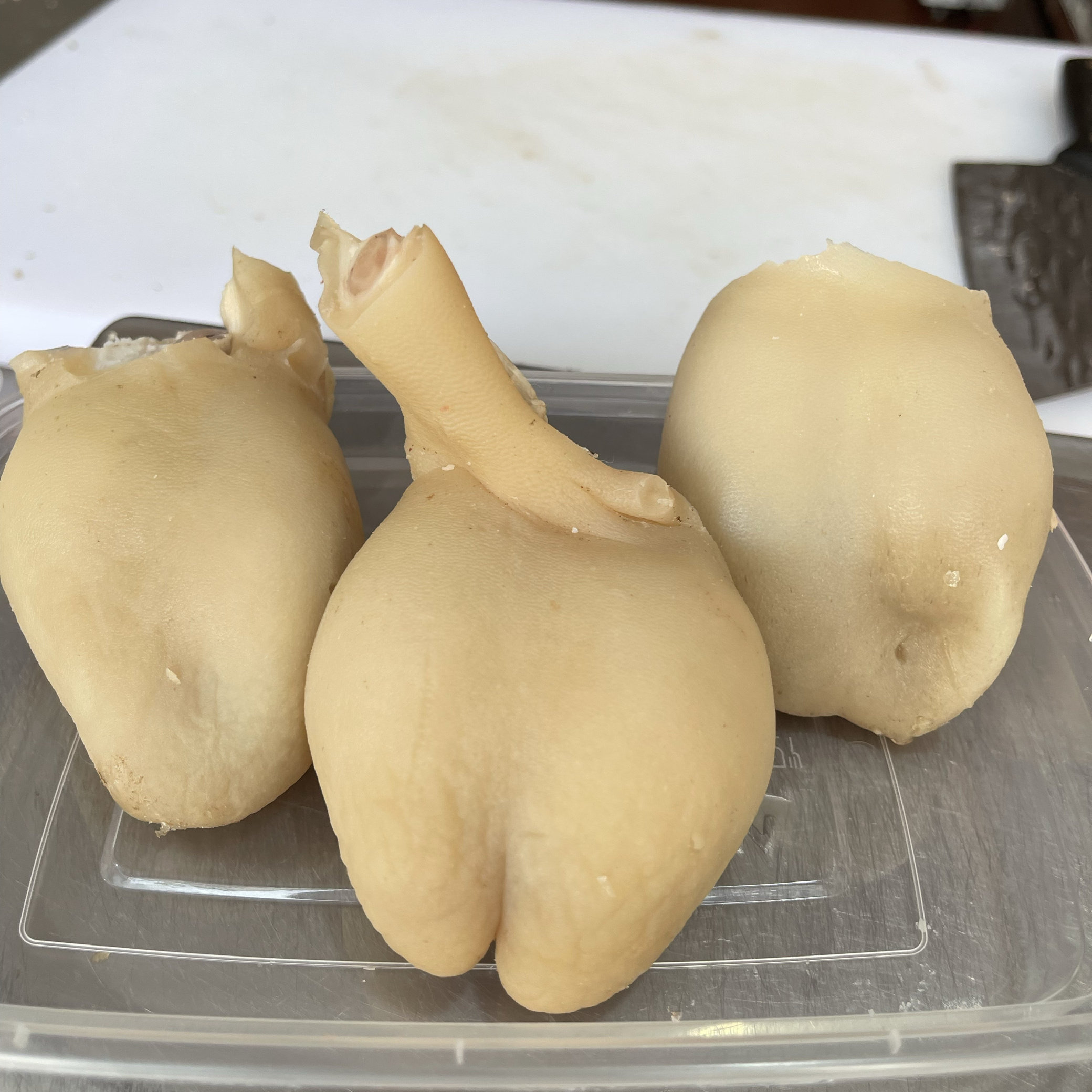 中央1套三餐四季推荐莆田非遗美食国义干焖羊肉，干焖羊蛋，羊宝,淘宝优惠券,粉丝福利购,淘宝优惠卷