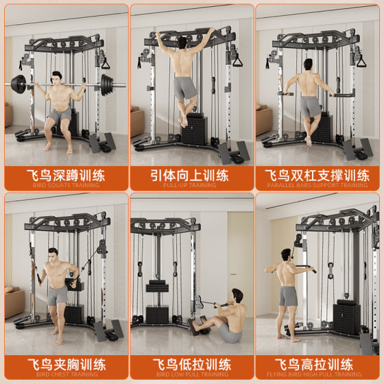 Commercial small flying bird gantry trainer delivered upstairs