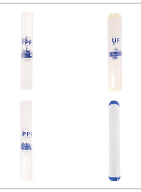 15寸PP通用直饮滤芯净水器RO100G