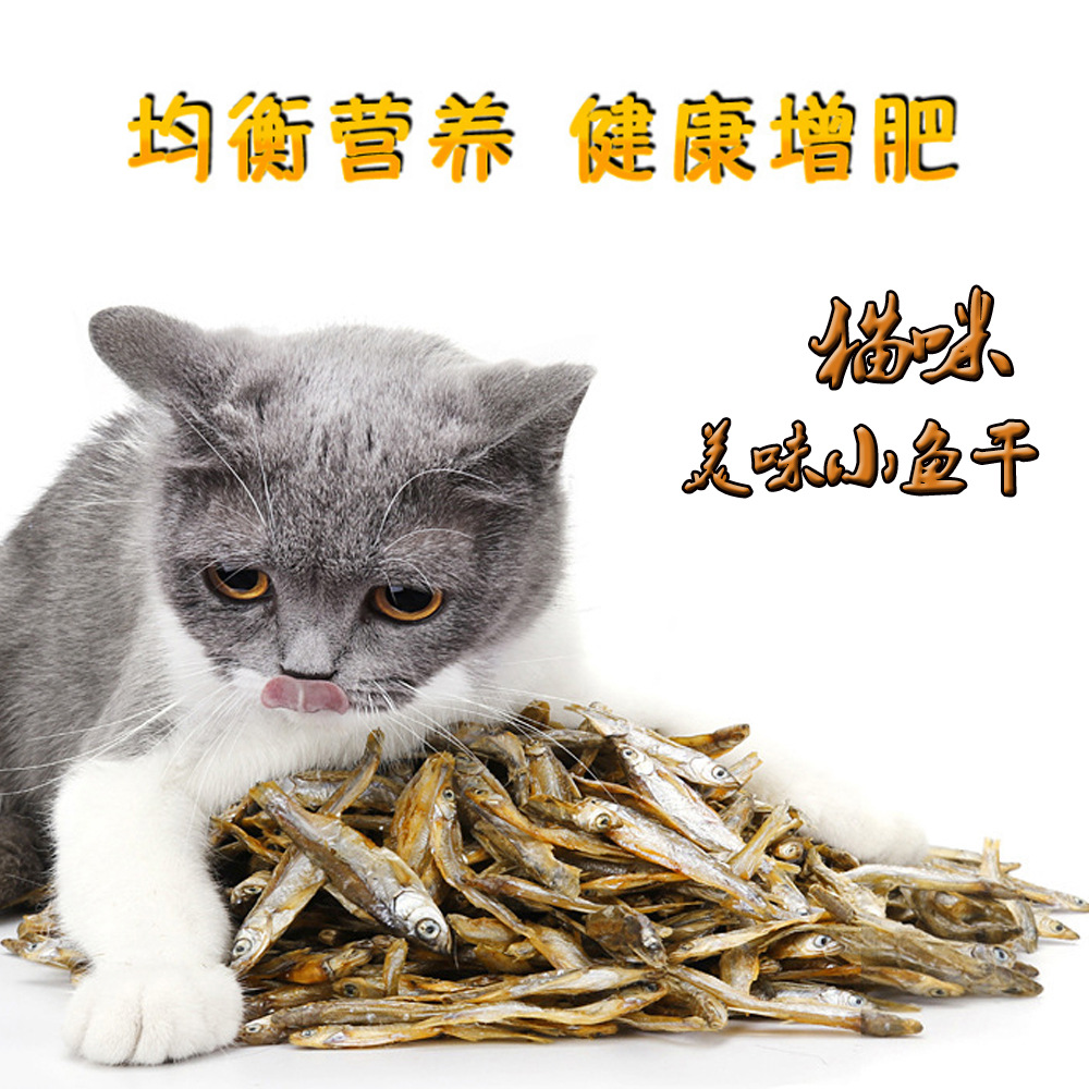 猫粮零食小鱼干无盐淡水纯天然肉条新鲜磨牙成年幼猫罐头奖励训练 - 图1