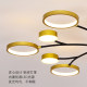 Modern simple home smart Internet red light