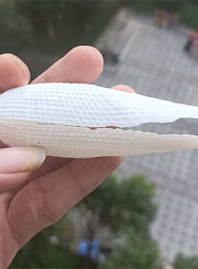 包邮天使之翼拍摄道具海螺贝壳