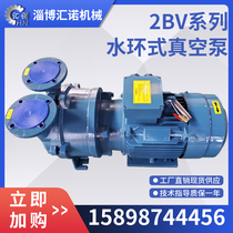 Boshan 2BV Series Water Ring Vacuum Pump High Vacuum Water Circulation Machinery Seal Industrial Stainless Steel Resistant