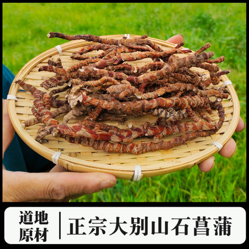 深山石菖蒲正宗品大别山野外生长石昌卜山菖蒲石昌蒲干无硫中药材 - 图0
