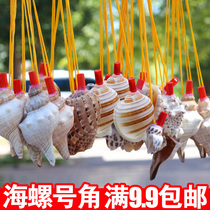 Natural sea snail horn horn can blow small snails oversized shell sea snail handicraft outlet whistle child toy horn