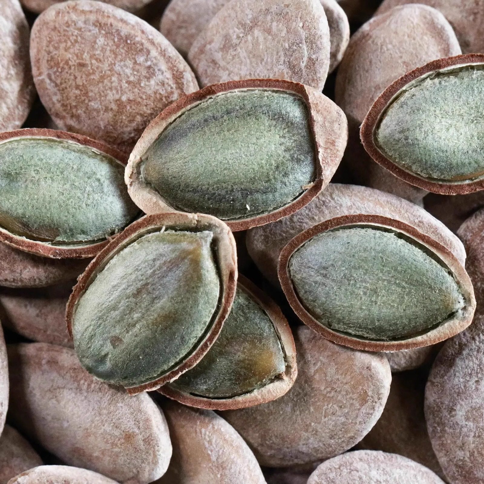 薛记瓜蒌籽颗粒饱满奶油味袋装吊瓜子炒货休闲零食皮薄实体店代买,淘宝优惠券,粉丝福利购,淘宝优惠卷