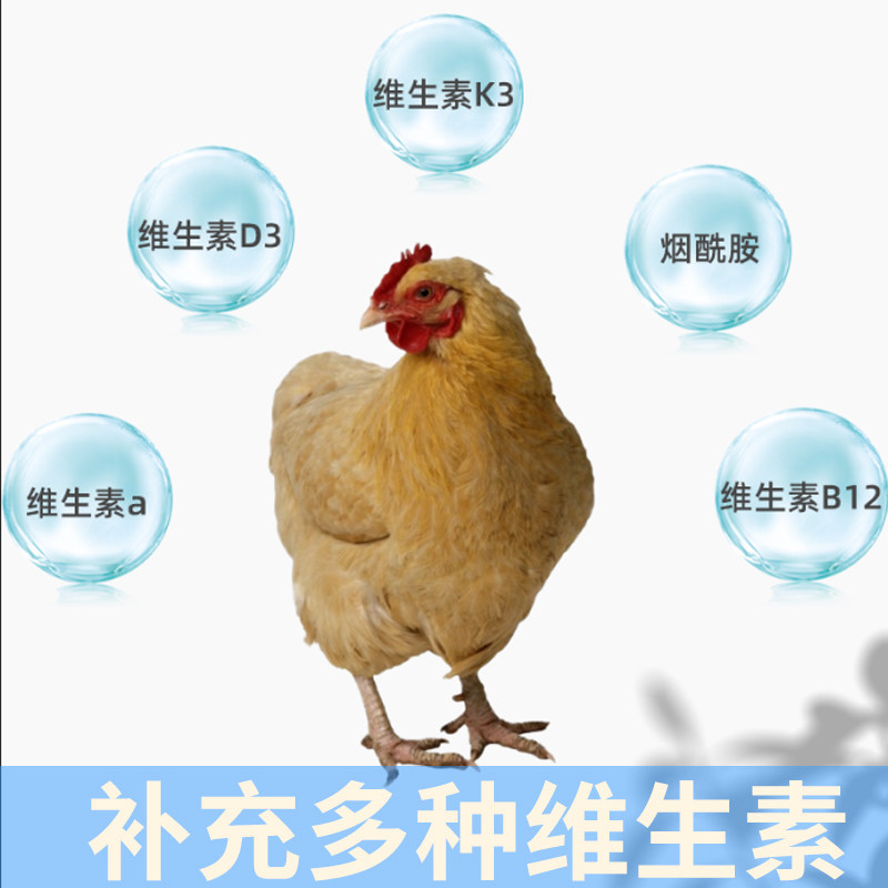 【帝斯曼438多维】罗维素438 进口DSM畜禽用维生素预混料禽鸡鸭鹅,淘宝优惠券,粉丝福利购,淘宝优惠卷