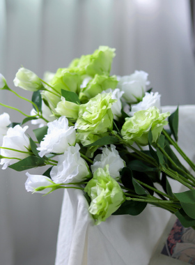 夏梵绢花室内波斯菊花卉
