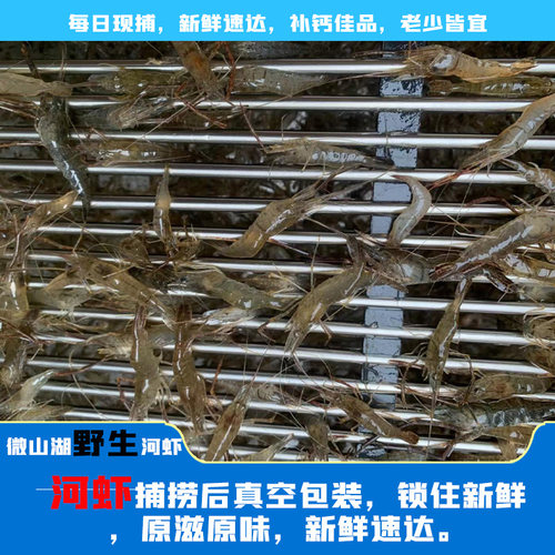 微山湖淡水河虾新鲜青虾草虾醉虾鲜活清水小河虾孕妇宝宝补钙包邮 - 图2