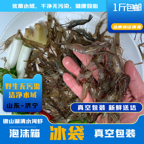 微山湖淡水河虾新鲜青虾草虾醉虾鲜活清水小河虾孕妇宝宝补钙包邮 - 图0