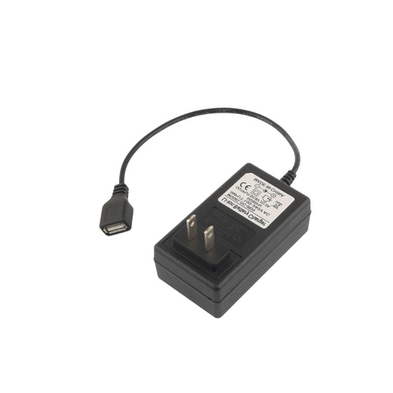 3V5V6V7.5V8V9V12V15V24V1A2A输出USB母头接口电源适配器充电线 - 图3