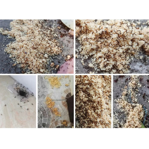 山甲牌灭黑蚂蚁药除杀红黄蚂蚁饵剂颗粒药粉厨房家用全一窝端粉状 - 图3