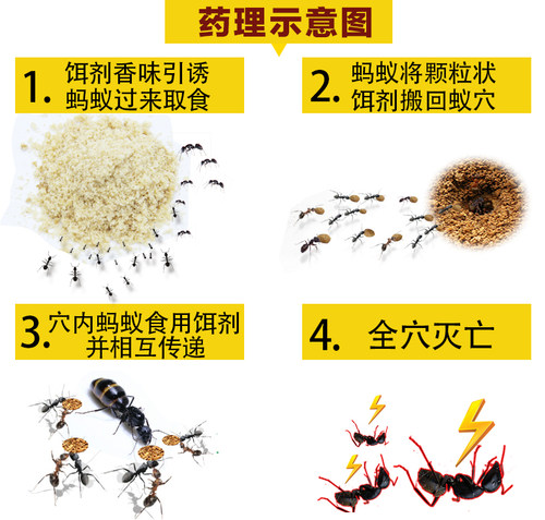 山甲牌灭黑蚂蚁药除杀红黄蚂蚁饵剂颗粒药粉厨房家用全一窝端粉状 - 图0