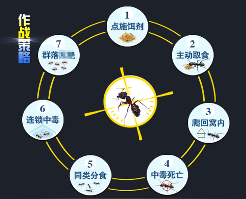 山甲牌灭黑蚂蚁药除杀红黄蚂蚁饵剂颗粒药粉厨房家用全一窝端粉状 - 图2