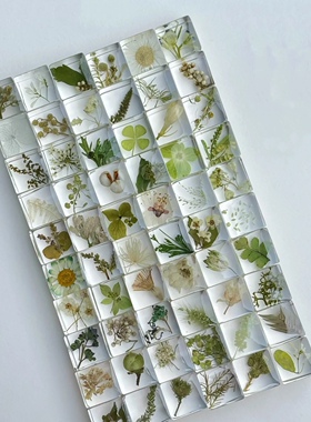 滴胶植物方块标本制作硅胶模具