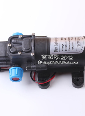 12V24V60W微型电动隔膜泵带压力开关直流洗车水泵喷雾器水泵包邮