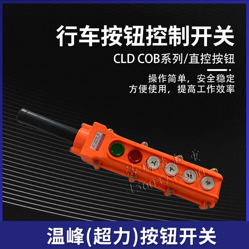 CO温B峰超力防雨型起重机电动葫芦控制器行车按钮开关 CLD-64BH65 - 图1