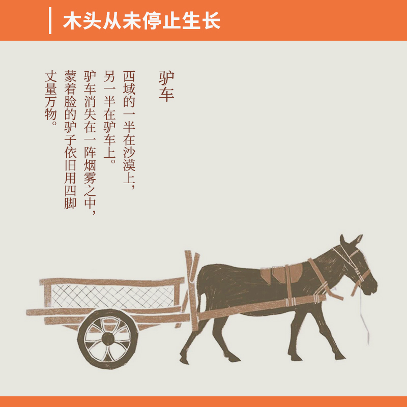 【新疆青少年出版社】南疆木器 蔡淼著 新疆是个好地方系列图书 扬子江年度青年诗人奖作品