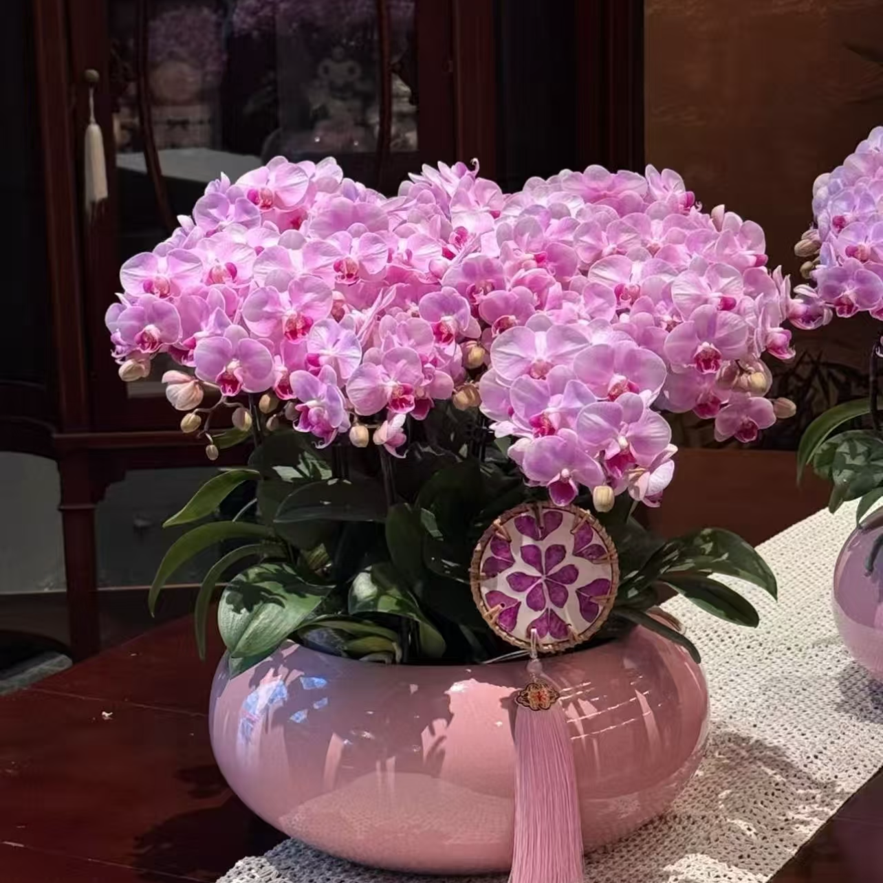 特大号蝴蝶兰花盆简约轻奢设计创意个性蝴蝶兰百搭花器桌面有孔,淘宝优惠券,粉丝福利购,淘宝优惠卷