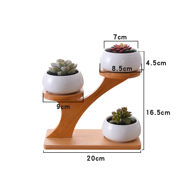 MiMiHome多肉植物组合创意摩天轮花盆支架室内迷你小白色陶瓷包邮 - 图1