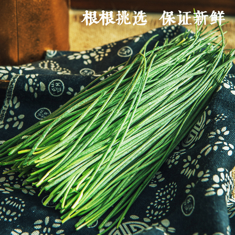 顺丰包邮沙葱新鲜民勤特产野生蔬菜火锅食材防冻保鲜包邮野葱-图2