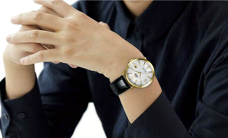日本Orient/东方表双狮手表 全自动正品机械男表皮带FER27004WO