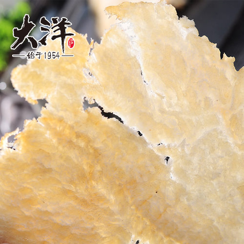 大洋烤鱼片休闲即食鱼干海鲜干货儿童休闲零食小吃青岛特产40gX10 - 图0
