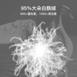 鸿润家纺五星酒店同款95白鹅绒羽绒被100支全棉贡缎加厚保暖冬被