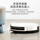 Format sweeping and mopping integrated automatic sweeping robot