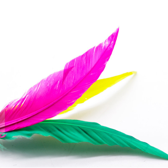 Genuine set of badminton balls specially designed for fitness room