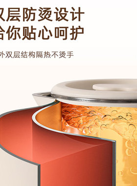 Chigo志高0.8L迷你电热水壶
