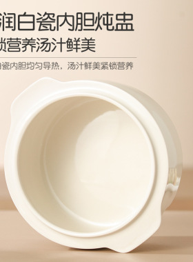 Chigo志高迷你电炖蛊家用迷你全自动预约燕窝养生隔水炖陶瓷砂锅