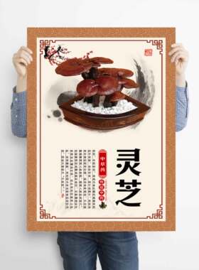 中草药功效海报贴纸挂图人参