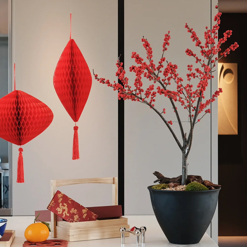 北美冬青盆栽红果真花广东年宵花室内客厅办公室花卉开业送礼植物,淘宝优惠券,粉丝福利购,淘宝优惠卷