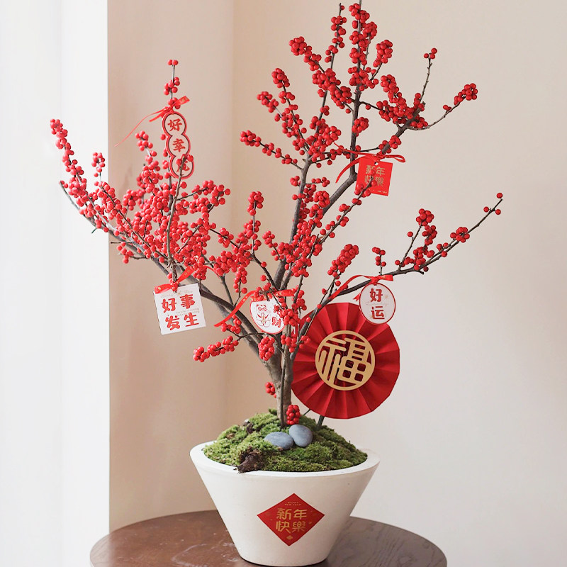 北美冬青盆栽红果真花广东年宵花室内客厅办公室花卉开业送礼植物,淘宝优惠券,粉丝福利购,淘宝优惠卷