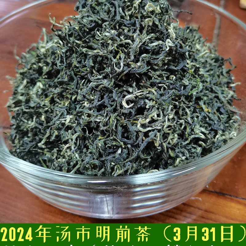 2024年新茶春季茶叶明前绿茶高山云雾茶湖南资兴汤市炒青绿茶散装 - 图0