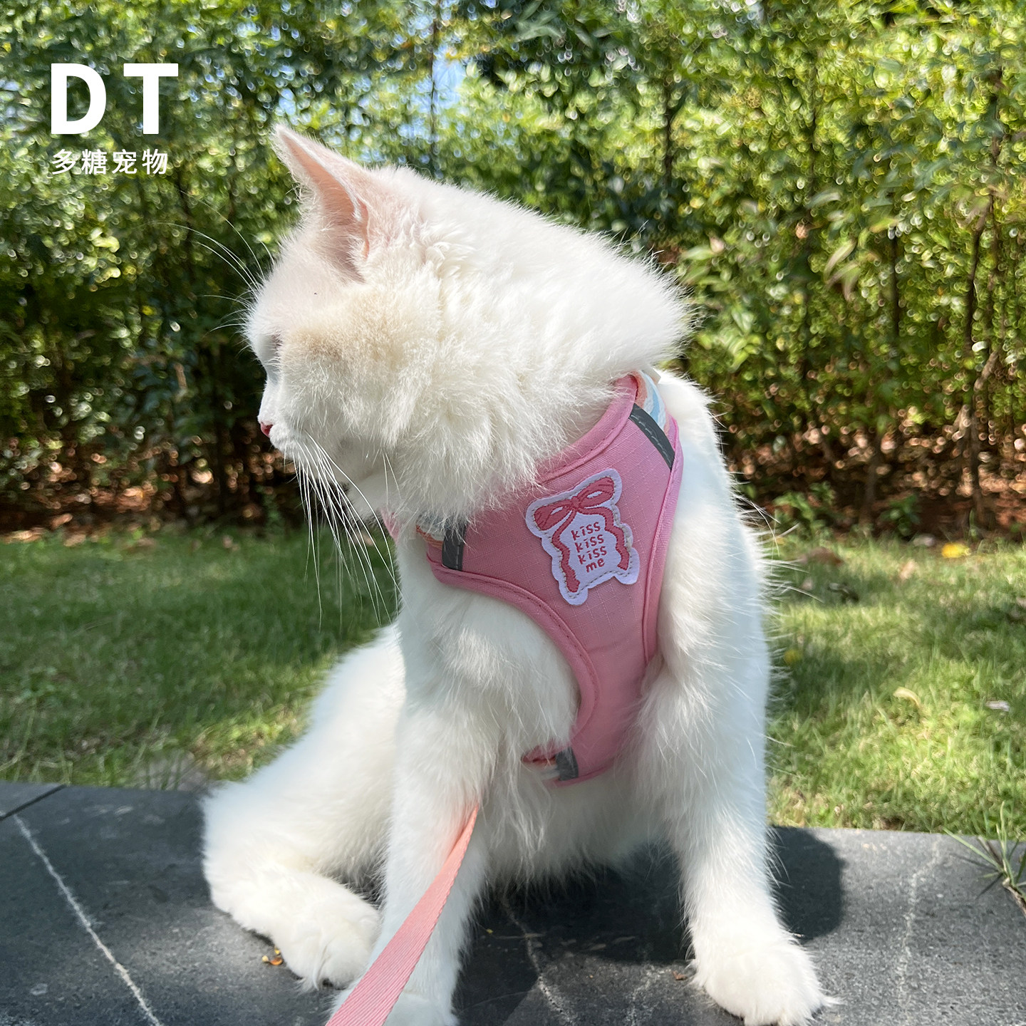 秋冬猫咪外出防挣脱牵引绳英短背心式遛猫绳猫链子小奶猫绳工字型,淘宝优惠券,粉丝福利购,淘宝优惠卷