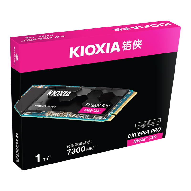 Kioxia/铠侠SE10 1T固态硬盘RC20 240G 500G  M2 NVME PCIE SSD - 图1