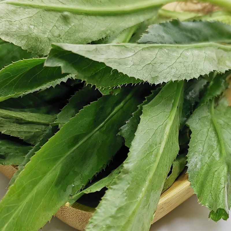 新鲜刺芫荽大香菜刺芹洋鹅芥假芫茜元西/缅芜荽泰国越南香菜-图0