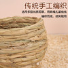 Pearl Bird Nest for All Seasons Common Bird Breeding Nest