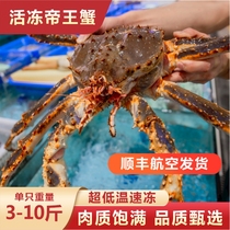 Monarch Crab Seafood Fresh aquatic 10 catfish Mega Crab Ice Fresh Frozen Frozen Oversized Emperor Crab Paramour