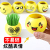 Grass Doll Mini Potted Plant Observation Growth Green Plant Creative Kindergarten Gift Student Prize Wholesale