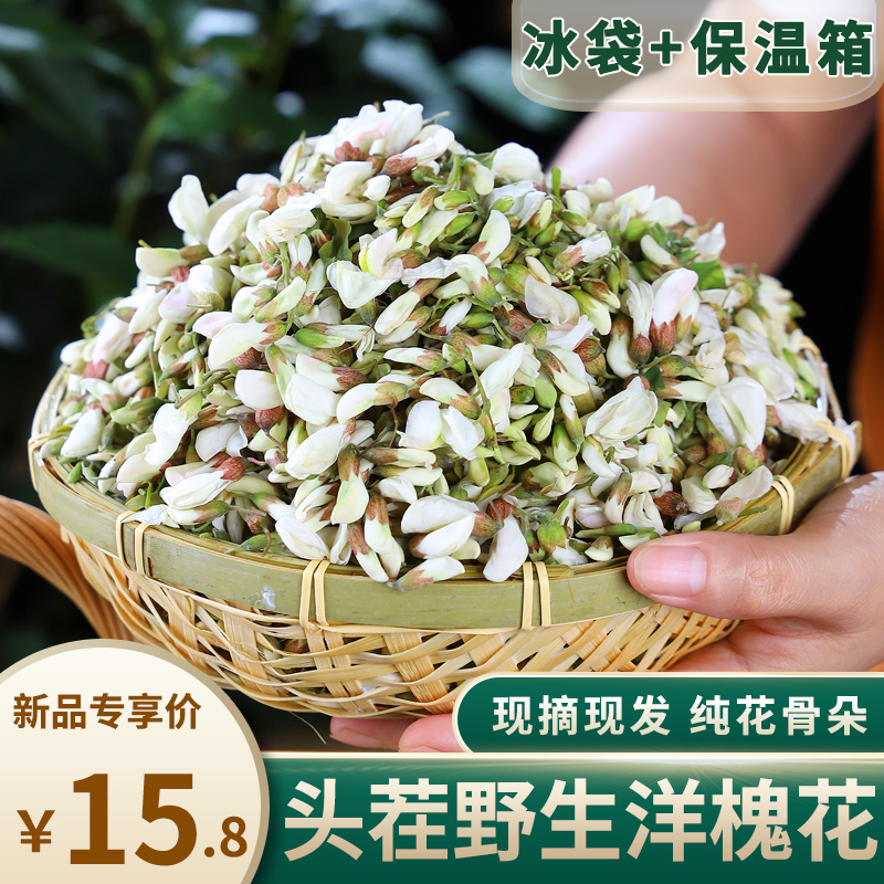 时令农产品新鲜槐花现摘现发大山野生蔬菜花骨朵苞4斤装蒸洋槐花-图3