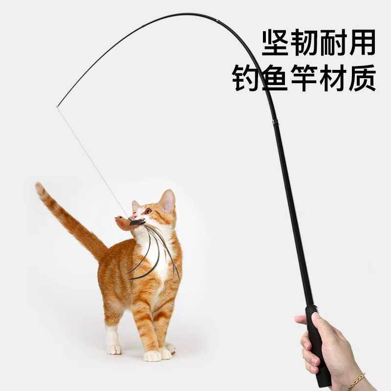 逗猫棒可伸缩耐咬玩小猫超长钓鱼竿弹力网玩具飞鸟耐咬Amy Carol,淘宝优惠券,粉丝福利购,淘宝优惠卷