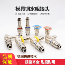 Faux STAAUBLI NEW DIE TRANSPORT WATER BRASS PLATED COPPER WATER NOZZLE JOINT QUICK INSERT RPL SERIES QUICK COUPLINGS