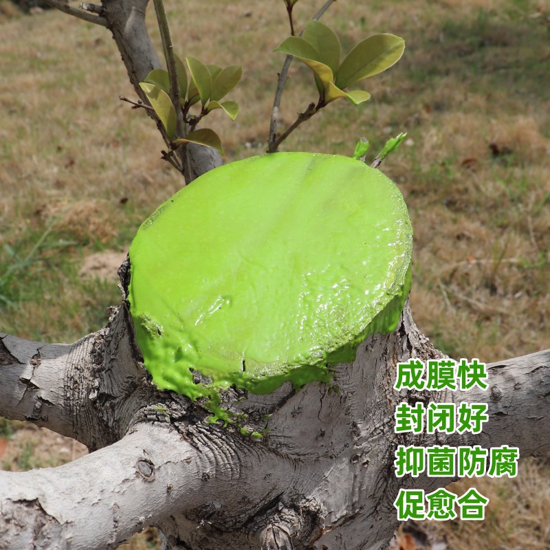 树木伤口愈合剂树干涂补剂盆景树皮涂膜剂果树嫁接切口修复涂抹膏,淘宝优惠券,粉丝福利购,淘宝优惠卷