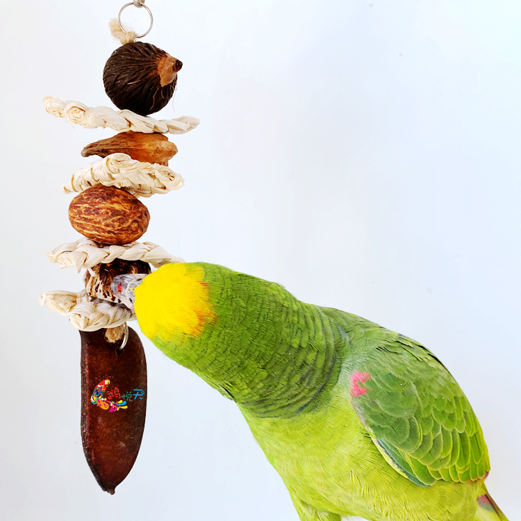 Fatbird鹦鹉啃咬玩具纯天然干果墨鱼骨玉米皮串绿色安全健康磨嘴-图0