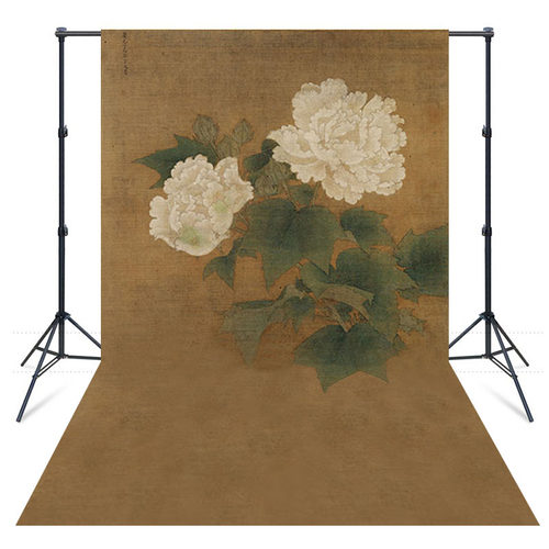 中国风工笔画拍照背景纸古装摄影复古中式全家福背景布芳华年代 - 图3