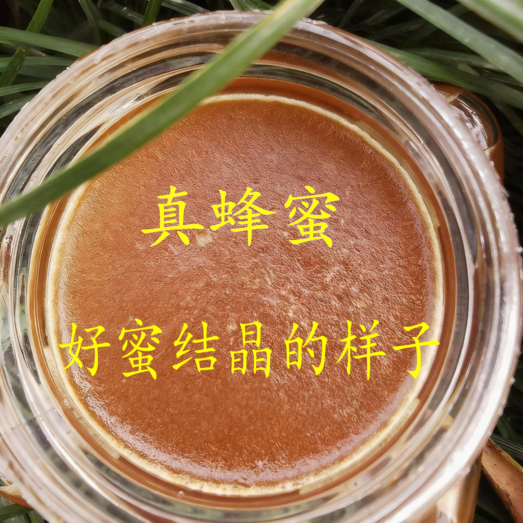 蜂蜜纯正天然野生土蜂蜜正品一级胖东蜂蜜槐花蜜无添加农家来蜂蜜
