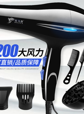 110V家用大功率吹风恒温护发